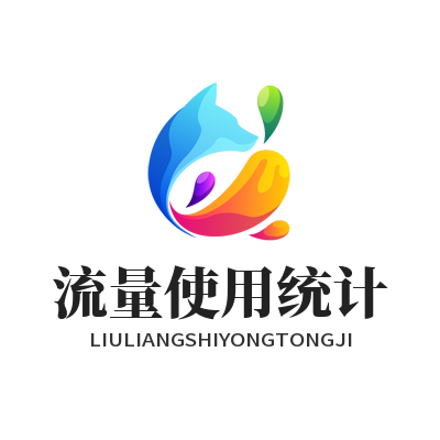 快联 VPN 怎样设置流量统计与查看用量