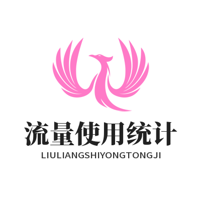 快联VPN流量统计教程：3步教你查清用了多少流量