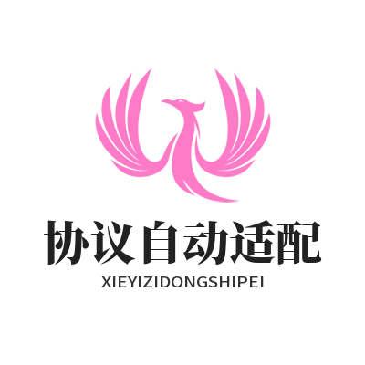 快联VPN怎么设置？官方正版自动适配教程